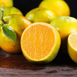 秭归夏橙5斤装产地直发新鲜水果整箱当季现摘橙子5斤