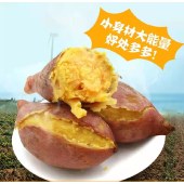 黄心板栗香薯 2斤/5斤/9斤 鸡蛋黄栗香薯地瓜粉甜