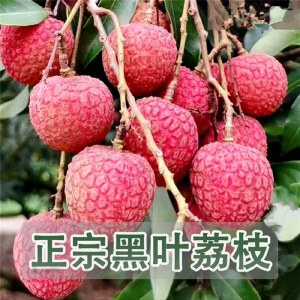 黑叶荔枝 4斤/5斤装 新鲜水果当季包邮