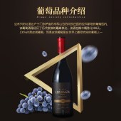 FincaLosMaza进口玛莎庄园288珍藏黑皮诺干红葡萄酒750ml 13.5%vol