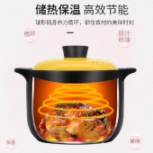 炊大皇家味煲 陶瓷煲炖汤煲煮粥 4L/19cm（2021新款）TCX3852