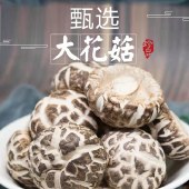 【扶贫助农】笨仙农 大花菇250g*1袋 特产食用菌香菇南北干货火锅煲汤食材