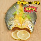 笨仙农黄鱼鲞 生鲜海鱼黄花鱼海鲜大黄鱼