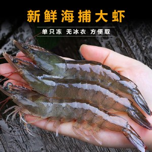 笨仙农 青岛大虾 约4斤装 生鲜冷冻活虾子冰鲜海鲜海虾