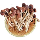 【扶贫助农】笨仙农 茶树菇150g*1袋 特产食用菌香菇南北干货火锅煲汤食材