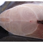 笨仙农精品带鱼段 4斤装 4cm宽 1000g*2袋 速冻冰冻海鱼冷冻鱼肉