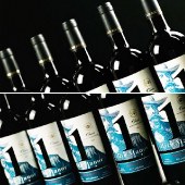 【阿根廷】王爵一号 干红葡萄酒 门多萨 14.5度 750ml/瓶