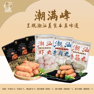 潮满峰 团圆佳味套装 4600g 潮汕牛肉丸牛筋丸虾丸爆汁肉肠