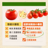 田野说100%小番茄汁（标准装）248ml*10盒