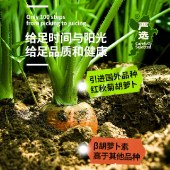 田野说100%原浆胡萝卜汁（迷你装）125ml*16盒