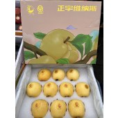 【广东省内包邮】维纳斯黄金苹果礼盒装 约4.5斤