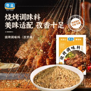 粤盐烧烤调味料孜然味10g*10袋 调料正品随意搭配 好味道