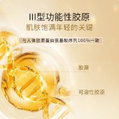 KOSSME蔻诗弥 鎏金臻颜松露胶原奢润眼霜15ml 搭配冰珠按摩棒  保湿紧致抗皱
