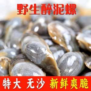 一袋惦记	8a泥螺 原味 即食罐装黄泥螺生腌特产舟山醉泥螺