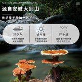 茯济堂 灵芝原浆饮300ml/盒（30ml*10瓶）
