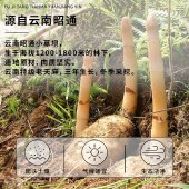 茯济堂 天麻原浆饮300ml/盒（30ml*10瓶）