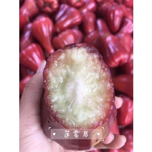 【广东省内包邮】黑金刚莲雾