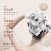 【2025年新品】娜帕蒂卡Napttiga新品功效洗发水人参健发养护洗发水固根强发去屑防断