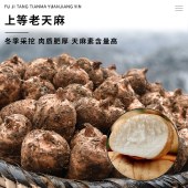 茯济堂 天麻原浆饮300ml/盒（30ml*10瓶）
