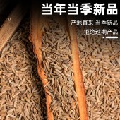 花家盛世 孜然粒320g 调味品炖肉料 去腥解腻调料