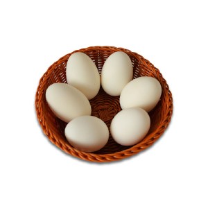 花家盛世 东北水库 吉林散养新鲜鹅蛋