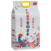 十月稻田 香稻贡米5kg 东北大米10斤装