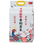 十月稻田 香稻贡米5kg 东北大米10斤装
