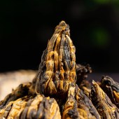 花家盛世 黑罐滇红宝塔250g礼袋装 HJSS-HG-DHBT-250