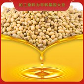 邻家饭香 非转基因 浸出一级大豆油 5L/桶 LJFX163