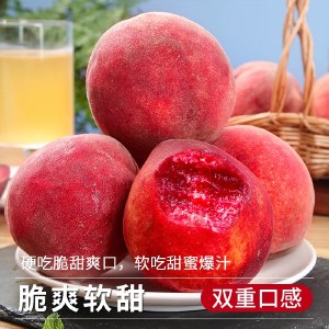 正宗老树血桃新鲜桃子脆甜红肉当季头茬现摘（顺丰发货）