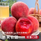 正宗老树血桃新鲜桃子脆甜红肉当季头茬现摘（顺丰发货）