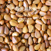 花家盛世 0添加东北松子550g圆罐装HWSZ550