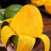 四川攀枝花凯特芒果新鲜水果当季特大芒果大果