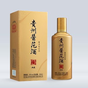 53度贵州酱范（典藏）500ml 酱香型白酒酱香酒