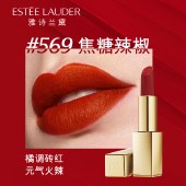 雅诗兰黛绒雾哑光金管唇膏口红 333#420#669#699#666#569#557#