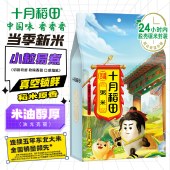 十月稻田 粥米1kg*2 东北大米切割碎米小米粒香米