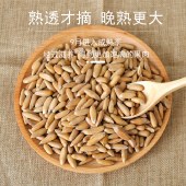 花家盛世 巴西松子450g圆罐装HWSZ450
