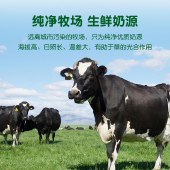 华农原实纯牛奶儿童学生成人全脂早餐奶整箱 250ml*16 礼盒装