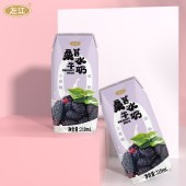 左江桑葚水牛奶210ml*10盒早餐奶果味代餐奶0蔗糖低脂奶