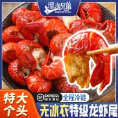 深海兄弟特级小龙虾尾净重500g*2包（共1000g） 无冰衣特大号冷冻虾球 生鲜虾类