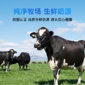 华农原实 品味初心乳酸菌饮品250ml*16盒 富含维生素C 维生素E优选品质生鲜奶源