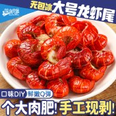深海兄弟特级小龙虾尾净重500g*2包（共1000g） 无冰衣特大号冷冻虾球 生鲜虾类