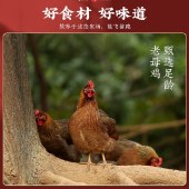 清远鸡礼盒 广东清远鸡肉整只盒装 约1.1kg/只