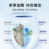 意几净净味洁厕宝450g 去味抑菌蓝泡泡45g*10颗装