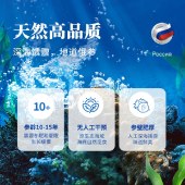 【500g*2盒】萨哈林 鲜炖海参 即食海参 海鲜水产