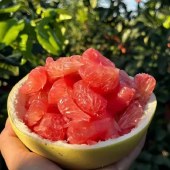 正宗福建平和红心红肉柚子应季时令水果新鲜水果礼盒