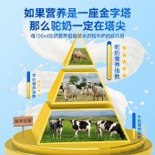 【2罐】高钙益生菌驼奶粉350g/罐  (养祺美)