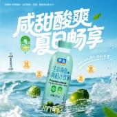 粤盐生态海盐菠萝饮料300ml/瓶 酸甜可口 解渴果汁饮料 6瓶/组／15瓶/箱