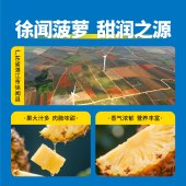 粤盐生态海盐菠萝饮料300ml/瓶 酸甜可口 解渴果汁饮料 6瓶/组／15瓶/箱