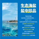 粤盐生态海盐菠萝饮料300ml/瓶 酸甜可口 解渴果汁饮料 6瓶/组／15瓶/箱